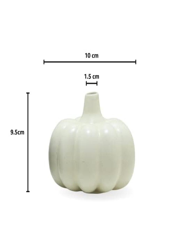 Mirakii Ceramic Black and White Small Pumpkin Vase of 10cm Set of 2, Decorate with Twigs, Small Flowers, Artificial Grass or Dried Cotton Branch, Filler Not Included (Black & White Set) - Image 3